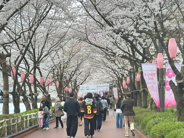 Seoul in Spring vs Fall — I've done both.